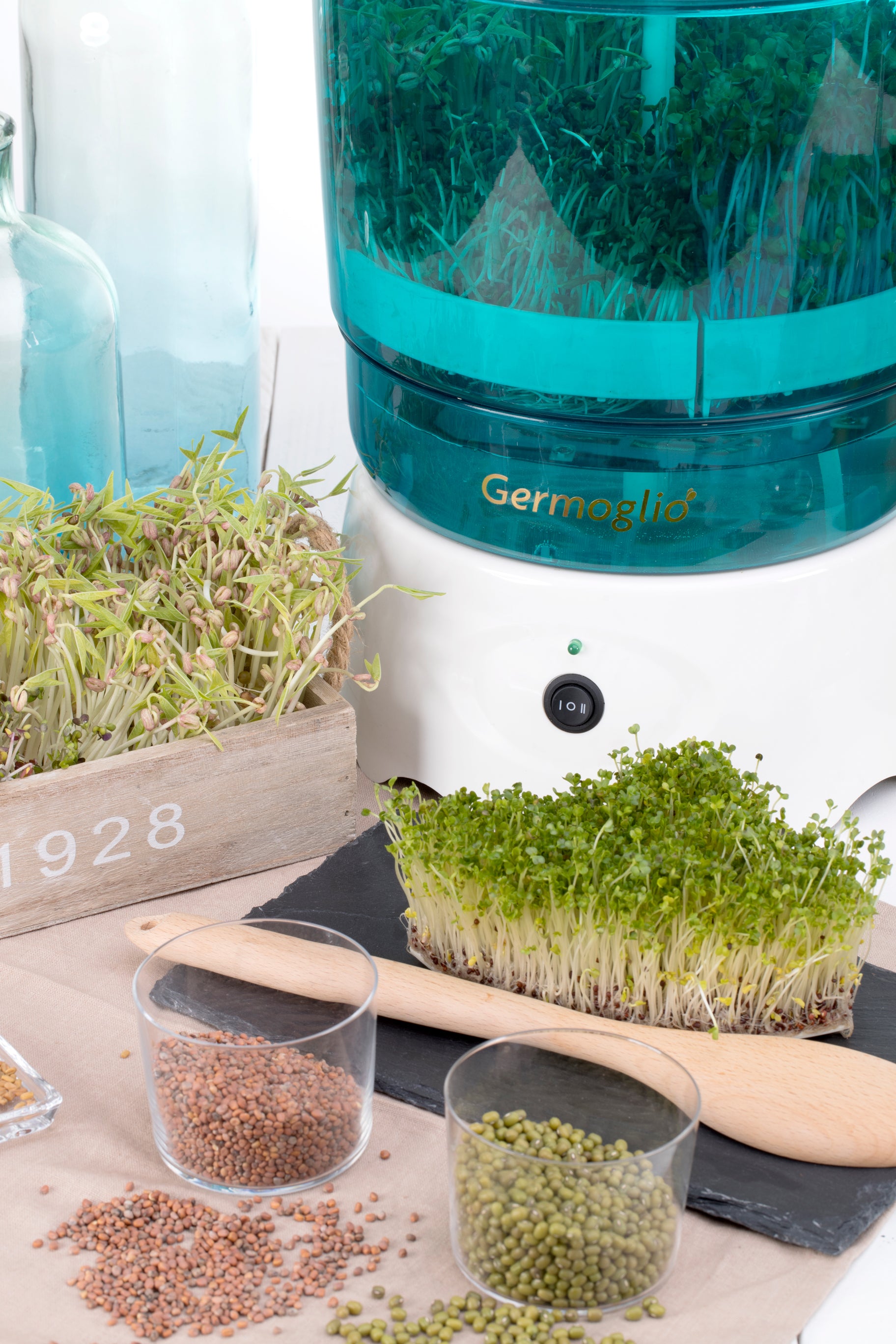 Seed sprouter automatic machine Germoglio-2